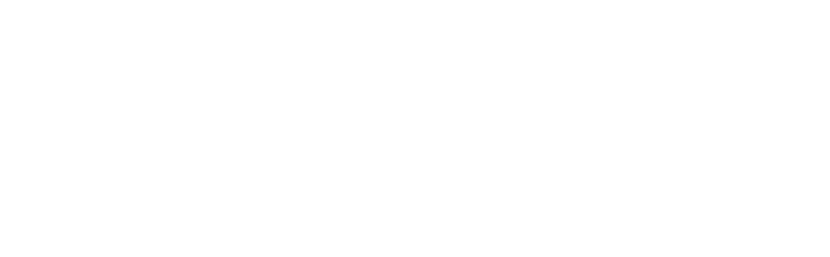 Reach Army Logo